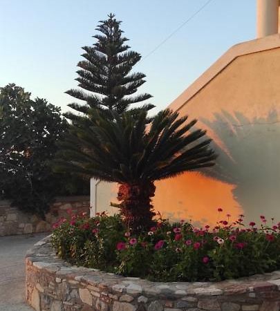 Small Patak House بساليدي المظهر الخارجي الصورة